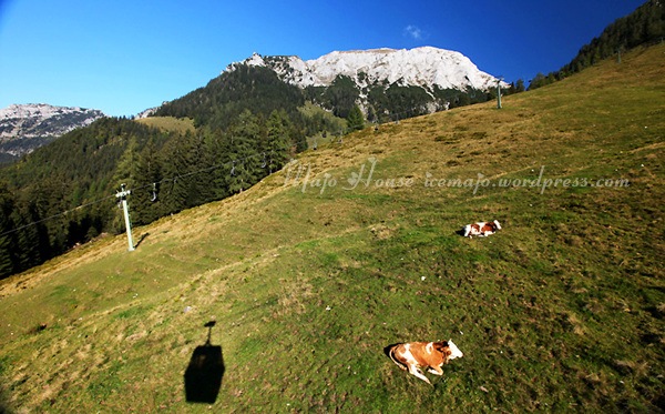 berchtesgaden013